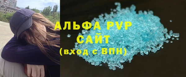 шишки Осинники
