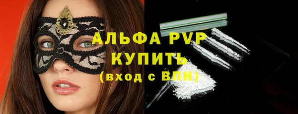 шишки Осинники