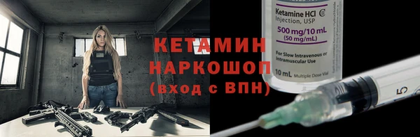 индика Осташков