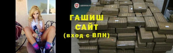 индика Осташков