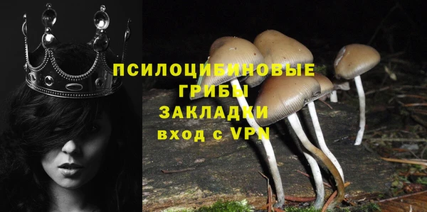 метадон Новоульяновск