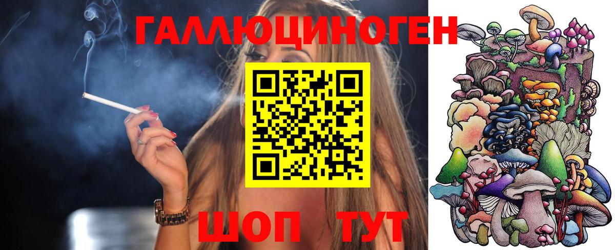 Псилоцибиновые грибы GOLDEN TEACHER  Приморско-Ахтарск 