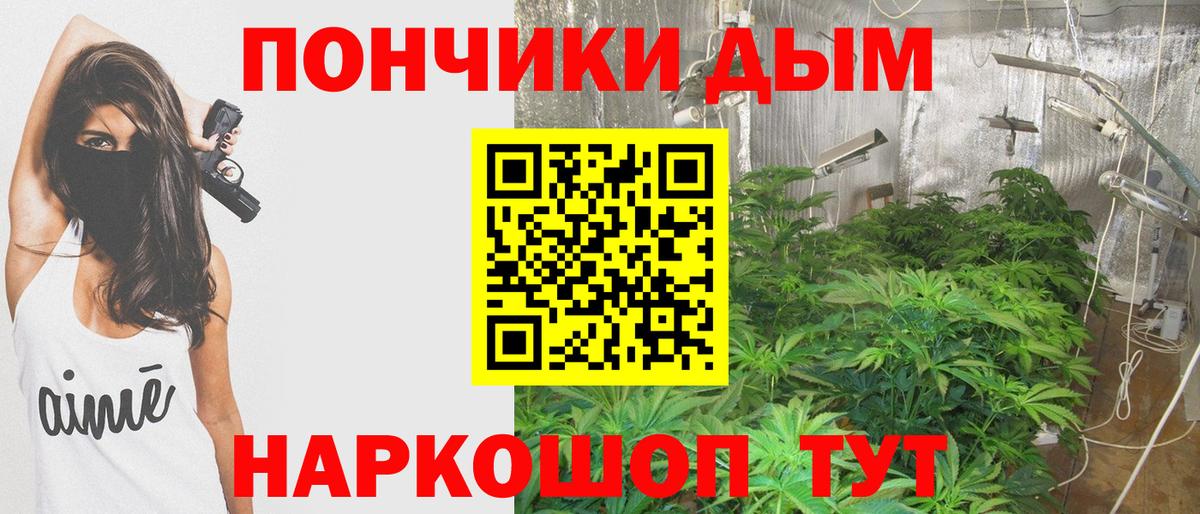 Бошки марихуана OG Kush Приморско-Ахтарск
